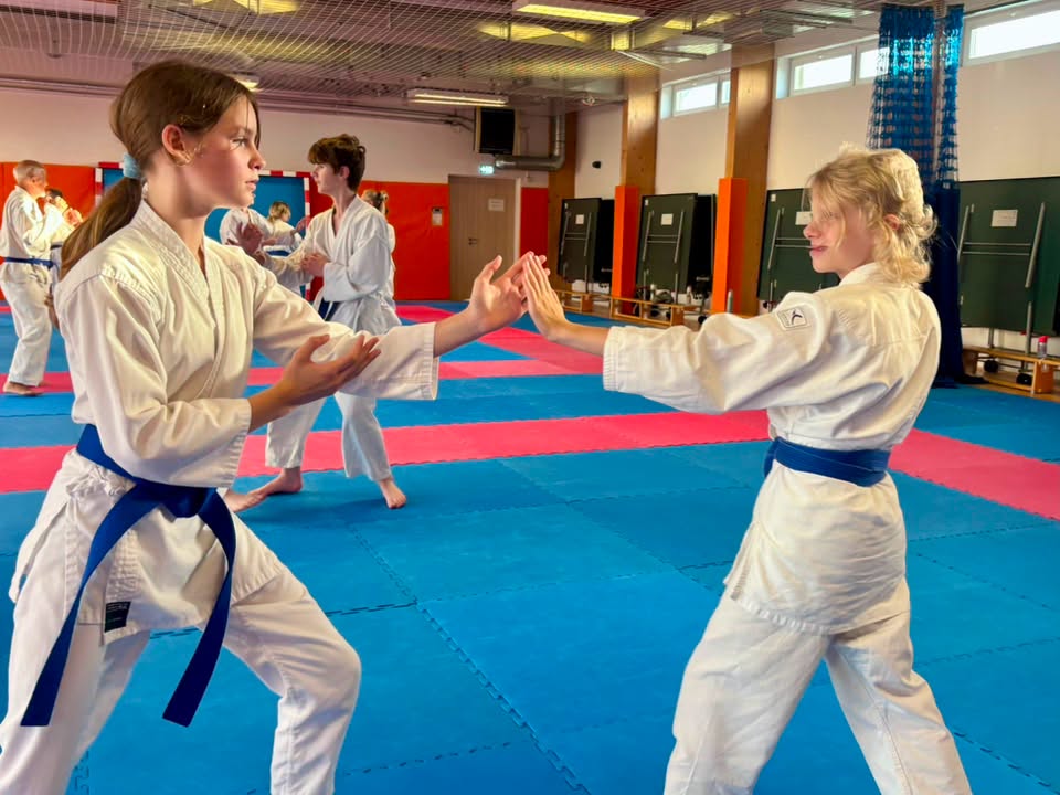 Bezpłatne treningi karate w ramach Akcji Lato 2026 w Wejherowie (7)