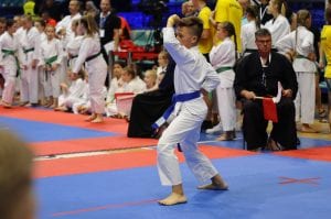Zdjęcie z relacji: XIX Ogólnopolski Puchar Dzieci w Tradycyjnym Karate-Do (zdjęcie 34 z 49)