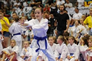 Zdjęcie z relacji: XIX Ogólnopolski Puchar Dzieci w Tradycyjnym Karate-Do (zdjęcie 23 z 49)