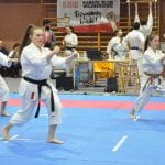 Zdjęcie z relacji: Pomorski Turniej w Karate Tradycyjnym za nami (zdjęcie 47 z 61)