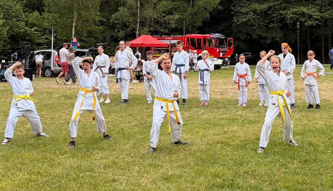 Pokaz karate tradycyjnego Karate Klubu Wejherowo podczas Kaszubskiego Dnia Sportu w parku Majkowskiego w Wejherowie (5)