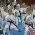 Zdjęcie z relacji: Pomorski Turniej w Karate Tradycyjnym za nami (zdjęcie 14 z 61)