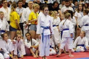 Zdjęcie z relacji: XIX Ogólnopolski Puchar Dzieci w Tradycyjnym Karate-Do (zdjęcie 14 z 49)