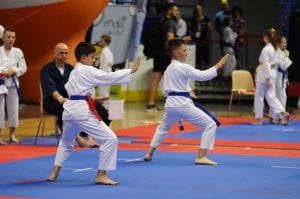 Zdjęcie z relacji: XIX Ogólnopolski Puchar Dzieci w Tradycyjnym Karate-Do (zdjęcie 35 z 49)