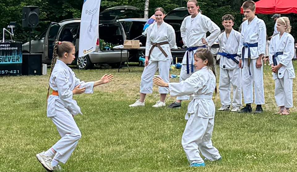 Pokaz karate tradycyjnego Karate Klubu Wejherowo podczas Kaszubskiego Dnia Sportu w parku Majkowskiego w Wejherowie (4)