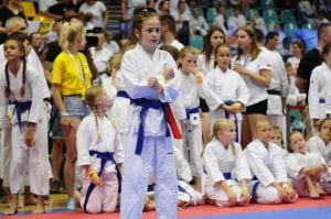 Zdjęcie z relacji: XIX Ogólnopolski Puchar Dzieci w Tradycyjnym Karate-Do (zdjęcie 20 z 49)