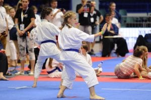 Zdjęcie z relacji: XIX Ogólnopolski Puchar Dzieci w Tradycyjnym Karate-Do (zdjęcie 47 z 49)