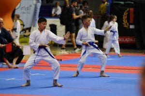 Zdjęcie z relacji: XIX Ogólnopolski Puchar Dzieci w Tradycyjnym Karate-Do (zdjęcie 36 z 49)