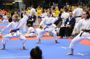 Zdjęcie z relacji: XIX Ogólnopolski Puchar Dzieci w Tradycyjnym Karate-Do (zdjęcie 44 z 49)