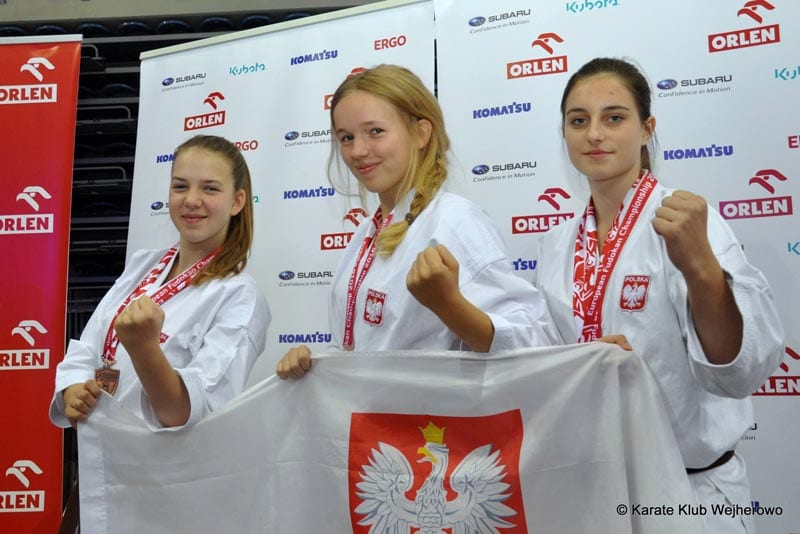 Wielostylowe Mistrzostwa Świata Mistrzostwa Europy Fudokan