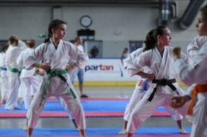 Zdjęcie z relacji: XIX Ogólnopolski Puchar Dzieci w Tradycyjnym Karate-Do (zdjęcie 28 z 49)
