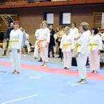 Zdjęcie z relacji: Pomorski Turniej w Karate Tradycyjnym za nami (zdjęcie 45 z 61)
