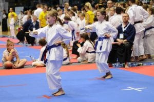 Zdjęcie z relacji: XIX Ogólnopolski Puchar Dzieci w Tradycyjnym Karate-Do (zdjęcie 42 z 49)
