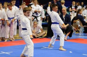 Zdjęcie z relacji: XIX Ogólnopolski Puchar Dzieci w Tradycyjnym Karate-Do (zdjęcie 40 z 49)