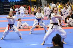 Zdjęcie z relacji: XIX Ogólnopolski Puchar Dzieci w Tradycyjnym Karate-Do (zdjęcie 43 z 49)