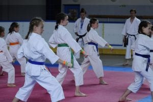 Zdjęcie z relacji: XIX Ogólnopolski Puchar Dzieci w Tradycyjnym Karate-Do (zdjęcie 25 z 49)