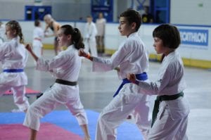 Zdjęcie z relacji: XIX Ogólnopolski Puchar Dzieci w Tradycyjnym Karate-Do (zdjęcie 26 z 49)