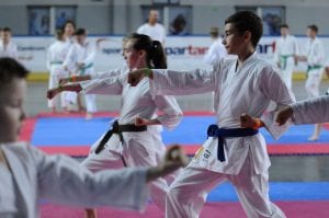 Zdjęcie z relacji: XIX Ogólnopolski Puchar Dzieci w Tradycyjnym Karate-Do (zdjęcie 27 z 49)