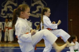 Zdjęcie z relacji: Otwarte Mistrzostwa Woj. Pomorskiego w gdańskiej AWFiS 2019 (zdjęcie 35 z 119)