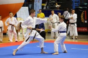 Zdjęcie z relacji: XIX Ogólnopolski Puchar Dzieci w Tradycyjnym Karate-Do (zdjęcie 46 z 49)