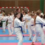 Zdjęcie z relacji: Pomorski Turniej w Karate Tradycyjnym za nami (zdjęcie 15 z 61)