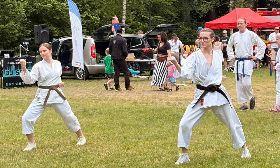 Pokaz karate tradycyjnego Karate Klubu Wejherowo podczas Kaszubskiego Dnia Sportu w parku Majkowskiego w Wejherowie (8)