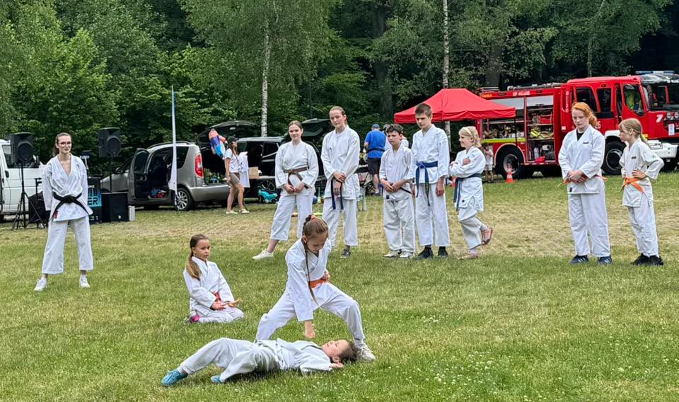 Pokaz karate tradycyjnego Karate Klubu Wejherowo podczas Kaszubskiego Dnia Sportu w parku Majkowskiego w Wejherowie (7)